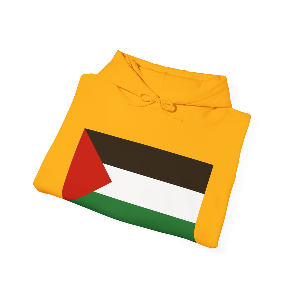 Palestinian Flag Hoodie, Unisex Heavy Blend Sweatshirt, Activism Apparel, Cultural Pride Wear, Casual Street Style, Gift for Him/Her
