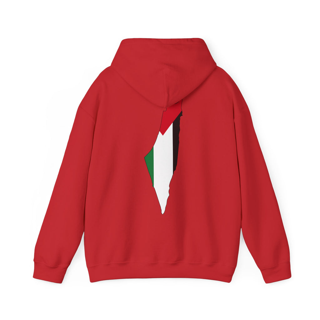 Palestinian Flag Hoodie, Unisex Heavy Blend Sweatshirt, Activism Apparel, Cultural Pride Wear, Casual Street Style, Gift for Him/Her