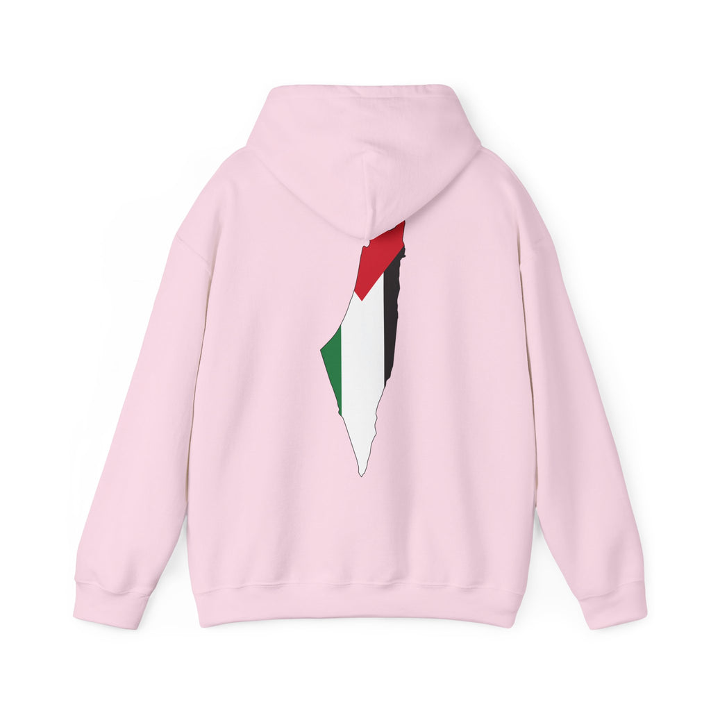 Palestinian Flag Hoodie, Unisex Heavy Blend Sweatshirt, Activism Apparel, Cultural Pride Wear, Casual Street Style, Gift for Him/Her