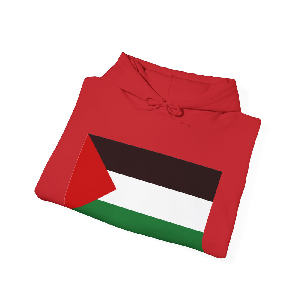 Palestinian Flag Hoodie, Unisex Heavy Blend Sweatshirt, Activism Apparel, Cultural Pride Wear, Casual Street Style, Gift for Him/Her