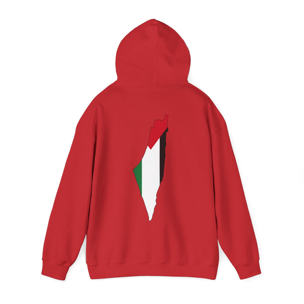Palestinian Flag Hoodie, Unisex Heavy Blend Sweatshirt, Activism Apparel, Cultural Pride Wear, Casual Street Style, Gift for Him/Her