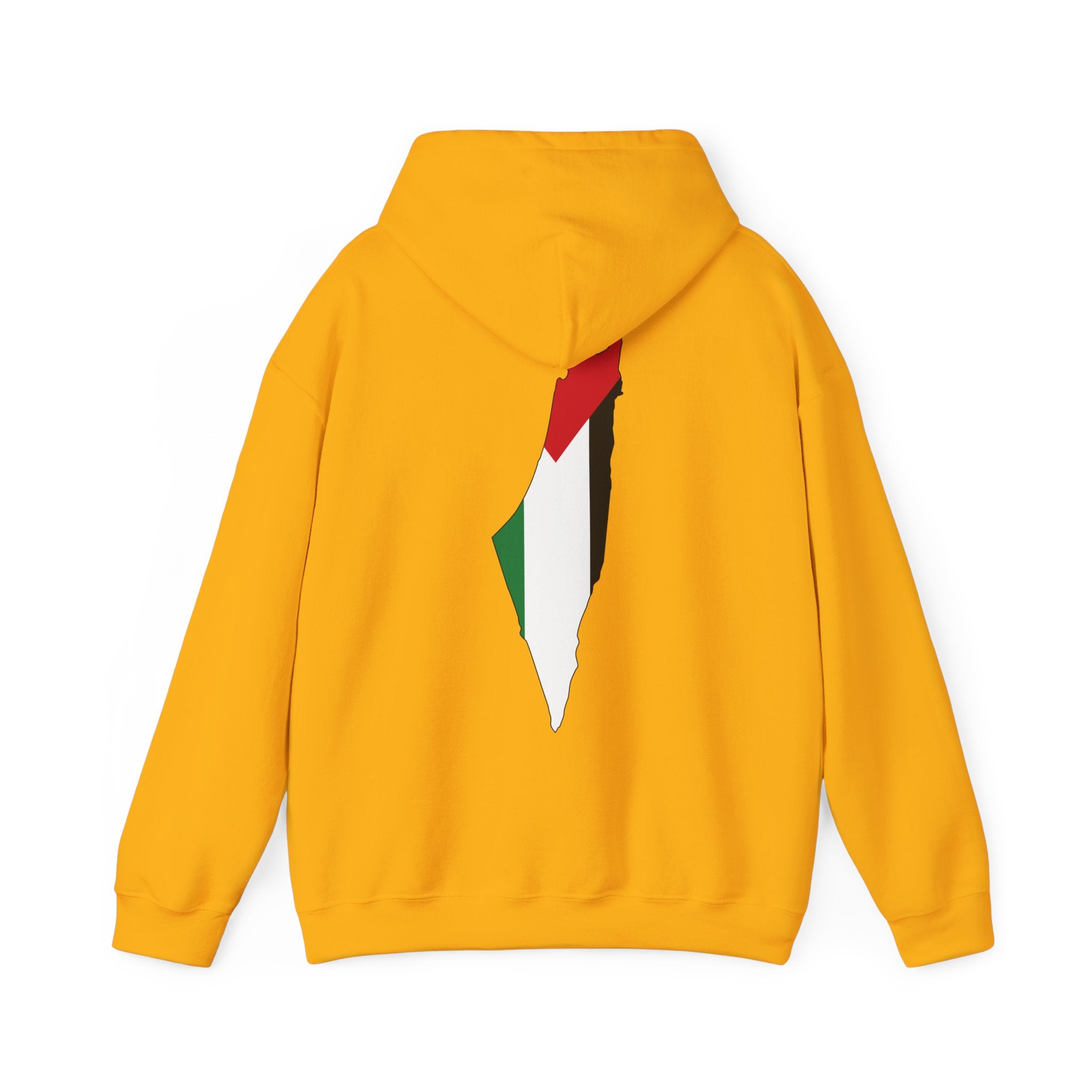Palestinian Flag Hoodie, Unisex Heavy Blend Sweatshirt, Activism Apparel, Cultural Pride Wear, Casual Street Style, Gift for Him/Her