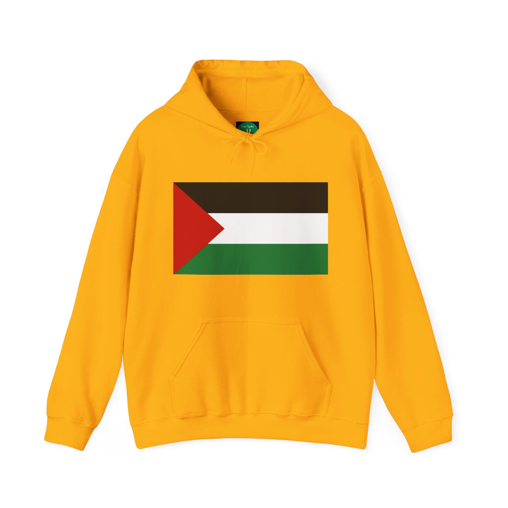 Palestinian Flag Hoodie, Unisex Heavy Blend Sweatshirt, Activism Apparel, Cultural Pride Wear, Casual Street Style, Gift for Him/Her