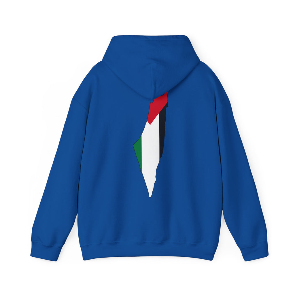 Palestinian Flag Hoodie, Unisex Heavy Blend Sweatshirt, Activism Apparel, Cultural Pride Wear, Casual Street Style, Gift for Him/Her